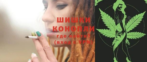 прущие крисы Новозыбков