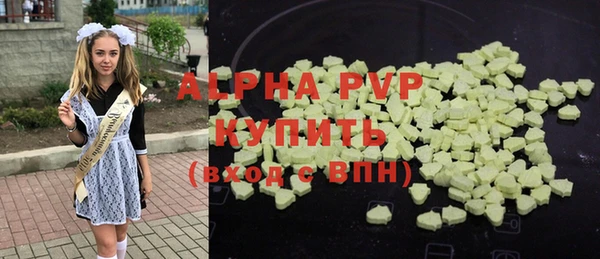 прущие крисы Новозыбков