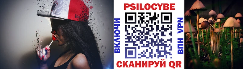 Купить закладки  Старица  Галлюциногенные грибы мухоморы 